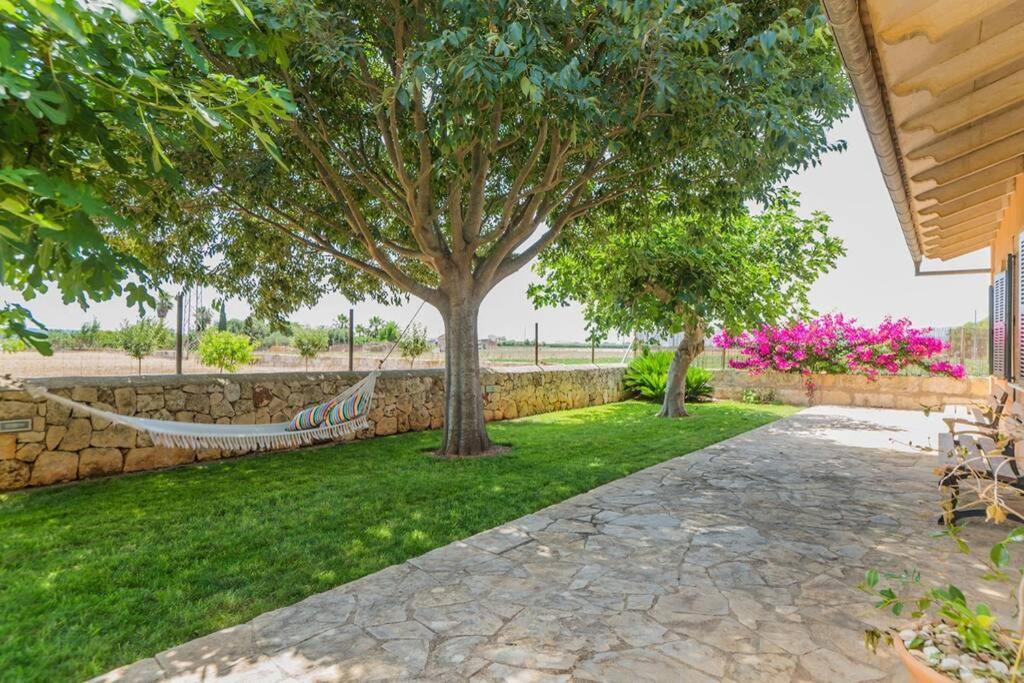 Finca Amer Sa Pobla Exterior photo